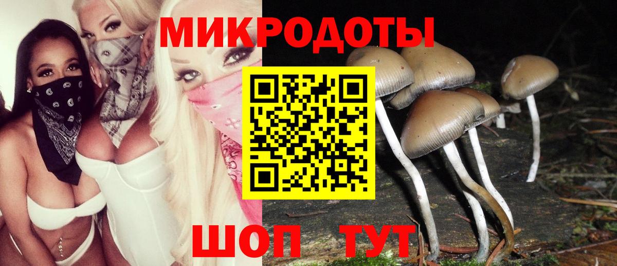 Псилоцибиновые грибы GOLDEN TEACHER  Вход с VPN  Приморско-Ахтарск  Псилоцибиновые грибы Psilocybe 